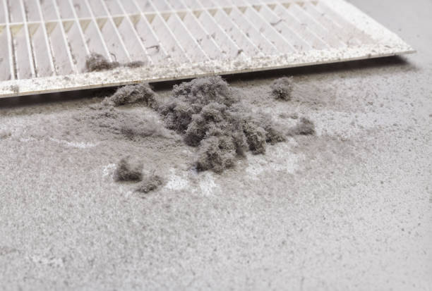Best Air Duct Cleaning Near Me  in Adel, IA