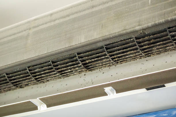 Best Ductwork Cleaning Services  in Adel, IA